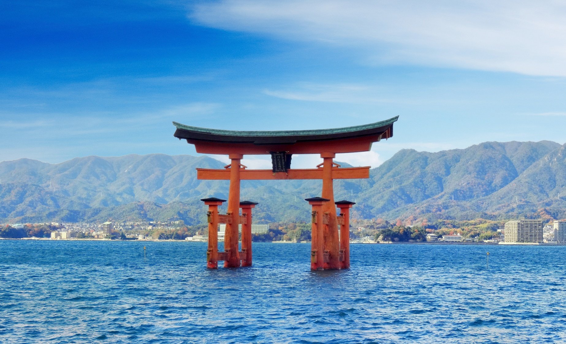 ⛩️ 츠키요미 신사(사쿠라지마) 이미지 5